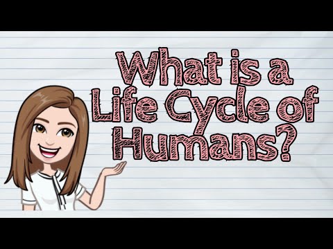 (SCIENCE) What is a Life Cycle of Humans? | #iQuestionPH
