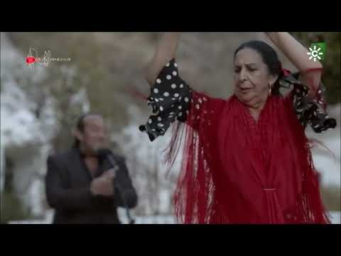 Tangos. Zambra de María la Canastera. 2020