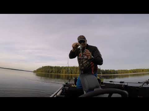 Savage Gear Rotan testailua.