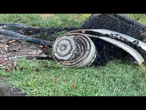 Yellow Jackets Hiding Under Tennis Net in Middletown, NJ