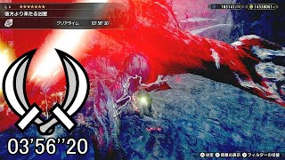 Re: [閒聊] 新手玩MHR體驗版覺得勸退是正常的嗎