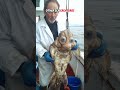 The Most UNUSUAL Sea Creatures