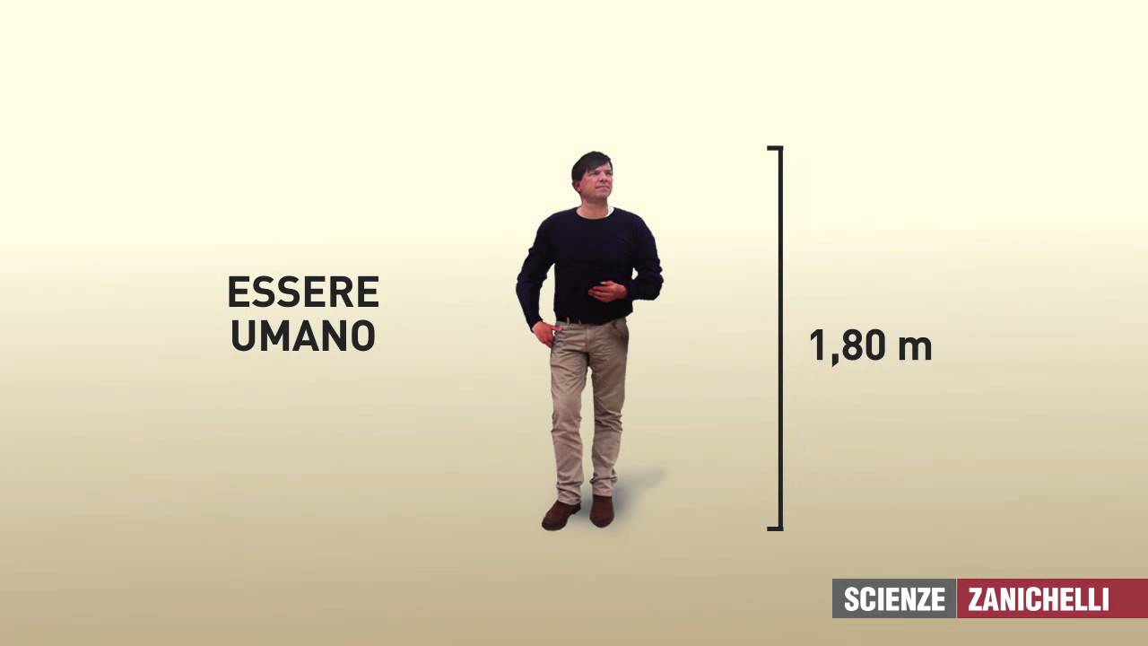 La cellula (tratto da #Natura)