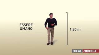 La cellula (tratto da #Natura)