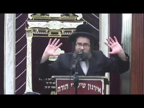 כ"ק אדמו"ר מסקולען ירושלים שליט"א מדבר מעניני נגינה