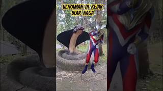 Download lagu Ultraman chased by a dragon snake #comedy #funny #humor #entertainment #laugh #yt mp3
