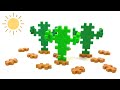 15 Seconds Plus-Plus Cactus