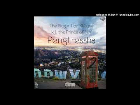 The_Plug_X_Tion_Wayne_X_J.I._The_Prince_Of_NY_-_Pengtreesha_[Music_Video]_