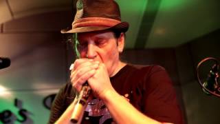 "Peeping & Hiding"  Dov Hammer & Libi (Jimmy Reed song)