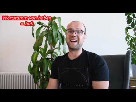 Indirekte Rede für die Inhaltsangabe