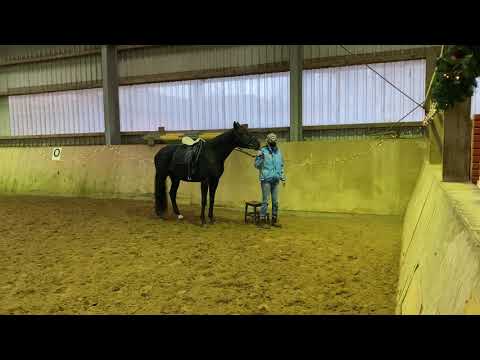 Andrea Kutsch Academy - Pferd steht nicht beim Aufsteigen -  Nachher