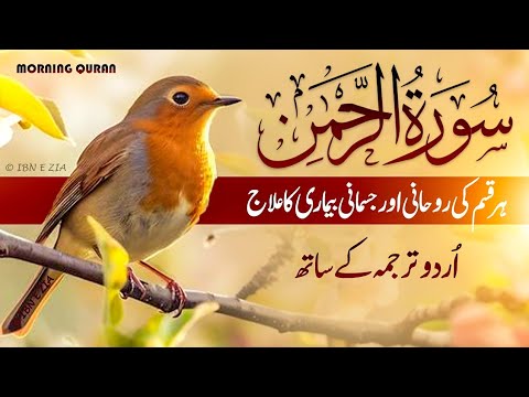 Surah Rahman Urdu Tarjuma k Sath 🌿 Qari Al Sheikh Abdul Basit Abdul Samad | سورۃ الرحمٰن