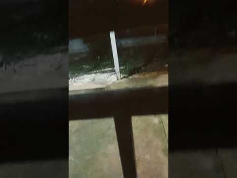 La cosa más normal en Chitré-Herrera