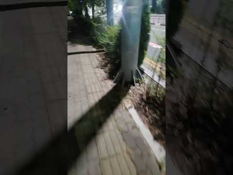 토요일 1공수 17만원 출근 중 #노가다브이로그 #평택반도체