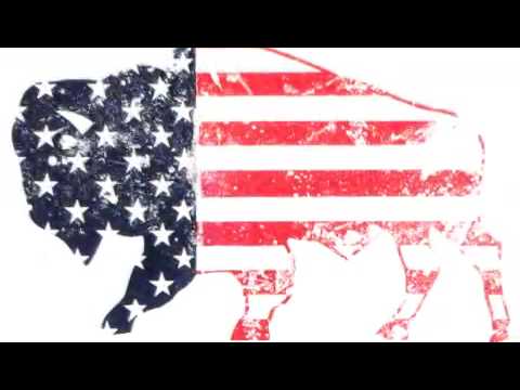 American Buffalo - 