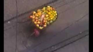 paris pocket film festival - desplazados (giammario villa)