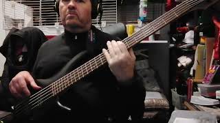 Jean-Jacques Goldman - La Vie Par Procuration (Didier Cover Bass)