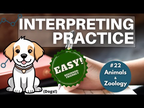 Interpreting Training: EASY Consecutive/Simultaneous Practice For Beginners - Dogs & Humans