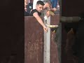 QUE LOCO Toca Al TORO BRAVO