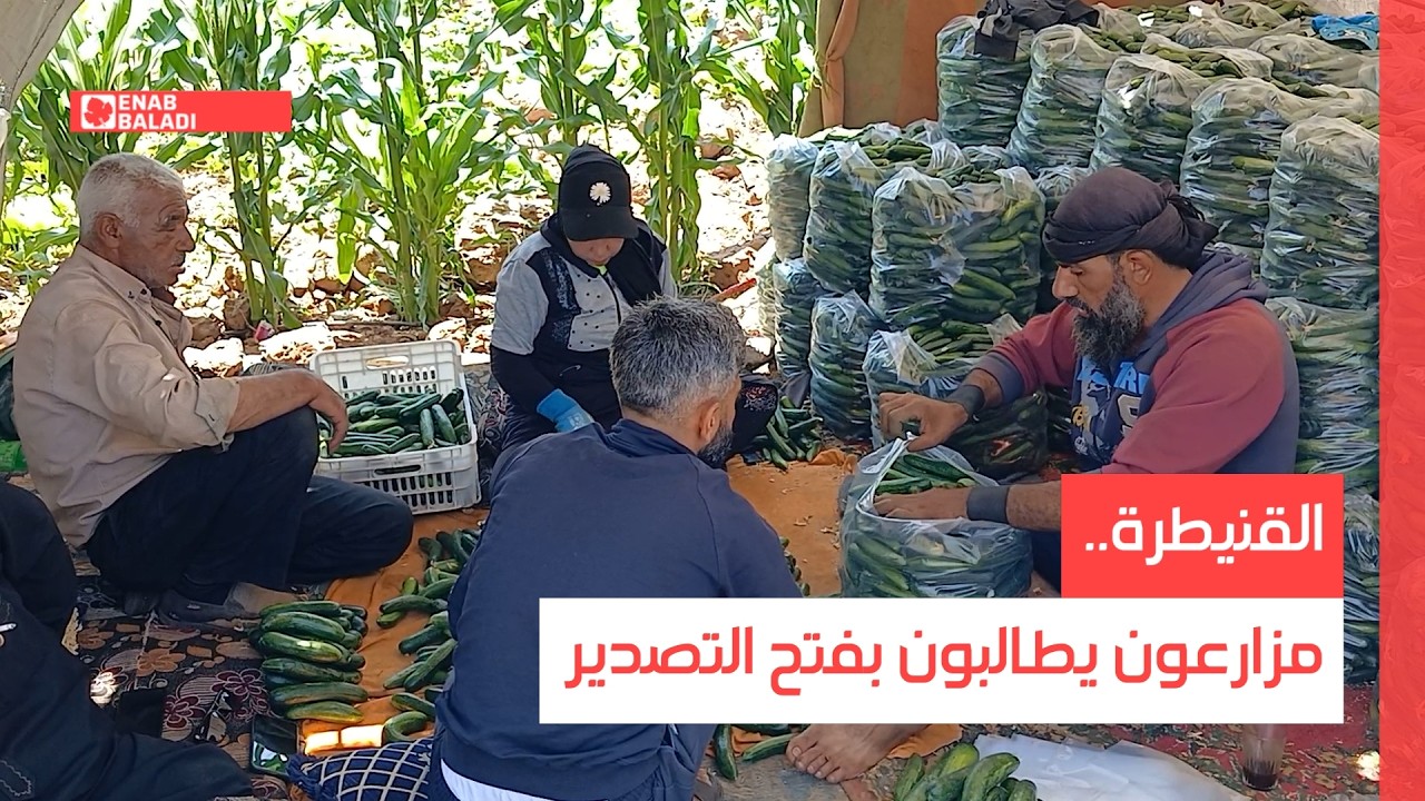 القنيطرة.. مزارعون يطالبون بفتح التصدير