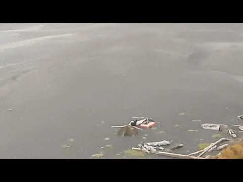 Camping in the Magical Only Black Sand Beach in California