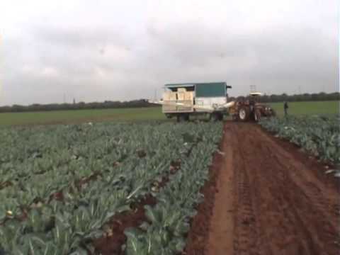 Spapperi S.r.l. - Nastro Trasportatore NU940 - Conveyor Belts NU940