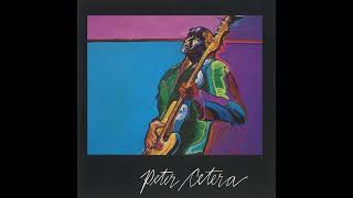Peter Cetera - Not Afraid to Cry (1981)
