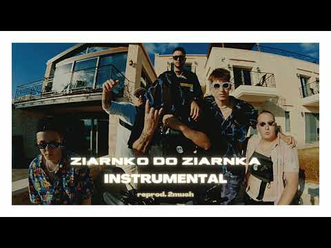 chillwagon - ziarnko do ziarnka | Instrumental | reprod. 2much