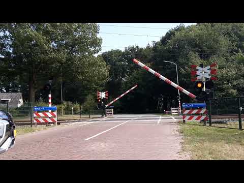Spoorwegovergang Tynaarlo // Dutch Railroad Crossing