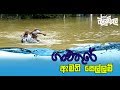 balumgala-31-05-2017