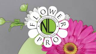 Silikonová formička žilkovač listy slunečnice/kopretina Katy Sue