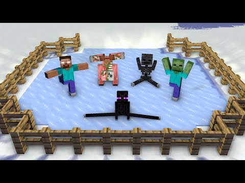 Monster School : Skating Challenge - Minecraft Animation