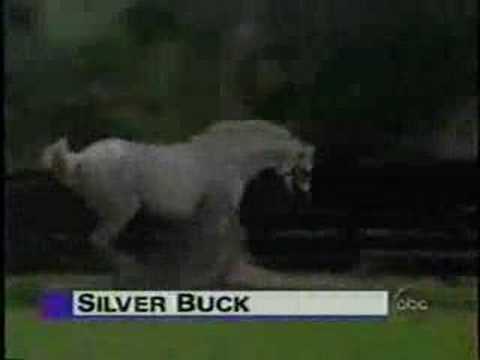 1997 Belmont Stakes (Part 2)