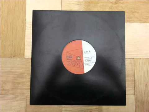 Dubble Feat Echo Ranks - Freedom Fighter & Dub