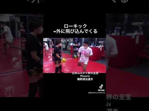 【梅野源治選手】ローキックとミドルキック の見極め方