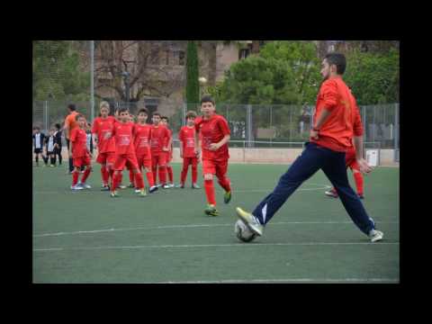 Benjamín "B" - Campeón Temporada 2015-2016