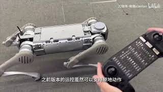 Re: [情報] 中國宇樹科技-B2 - W 工業級機器狗