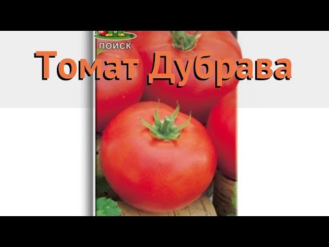, title : 'Томат обыкновенный Дубрава (dubrava) 🌿 томат Дубрава обзор: как сажать семена томата Дубрава'