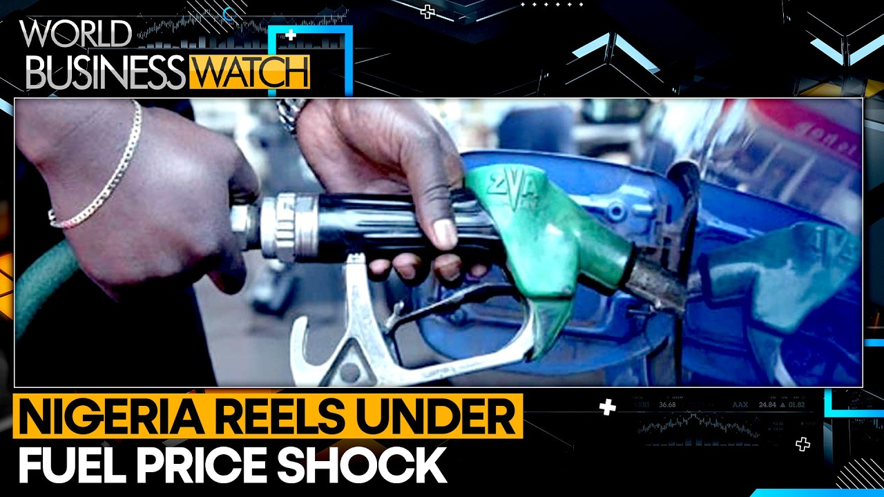 Nigeria Scrambles To Save Airlines | WION World Business Watch