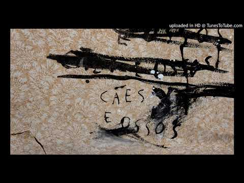 Manel Cruz - Cães e Ossos