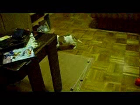 Kairos zamlata... :)))