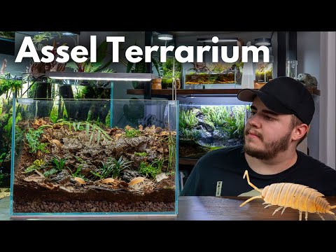 Mini Baumstamm Terrarium für Asseln einrichten!