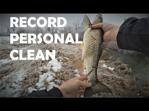 Pescuit la clean 2019 Record Personal