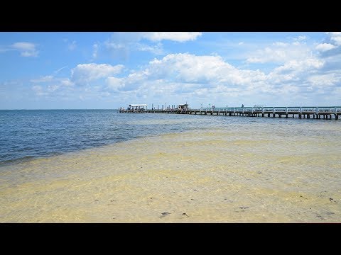 The Best of Old Florida : Bokeelia (Pine Island)