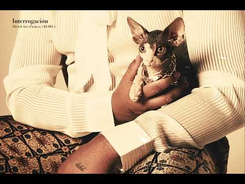 Zheit, Inés Pacheco - ? (REMIX)