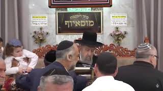 הרב בן ציון מוצפי • פרשת בהעלותך תשפ'ה (הרב בן ציון מוצפי) - התמונה מוצגת ישירות מתוך אתר האינטרנט יוטיוב. זכויות היוצרים בתמונה שייכות ליוצרה. קישור קרדיט למקור התוכן נמצא בתוך דף הסרטון