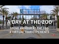 One Hour Virtual Tour A Day At The Los Angeles Zoo Botanical Gardens April 2025