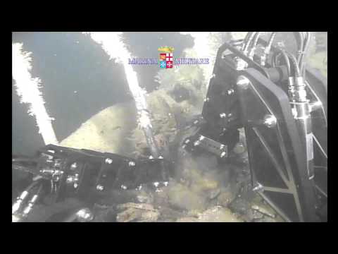 Il relitto del Polluce continua a restituire i suoi tesori