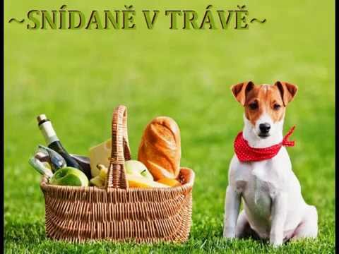 Snídaně v trávě / Michal Tučný.