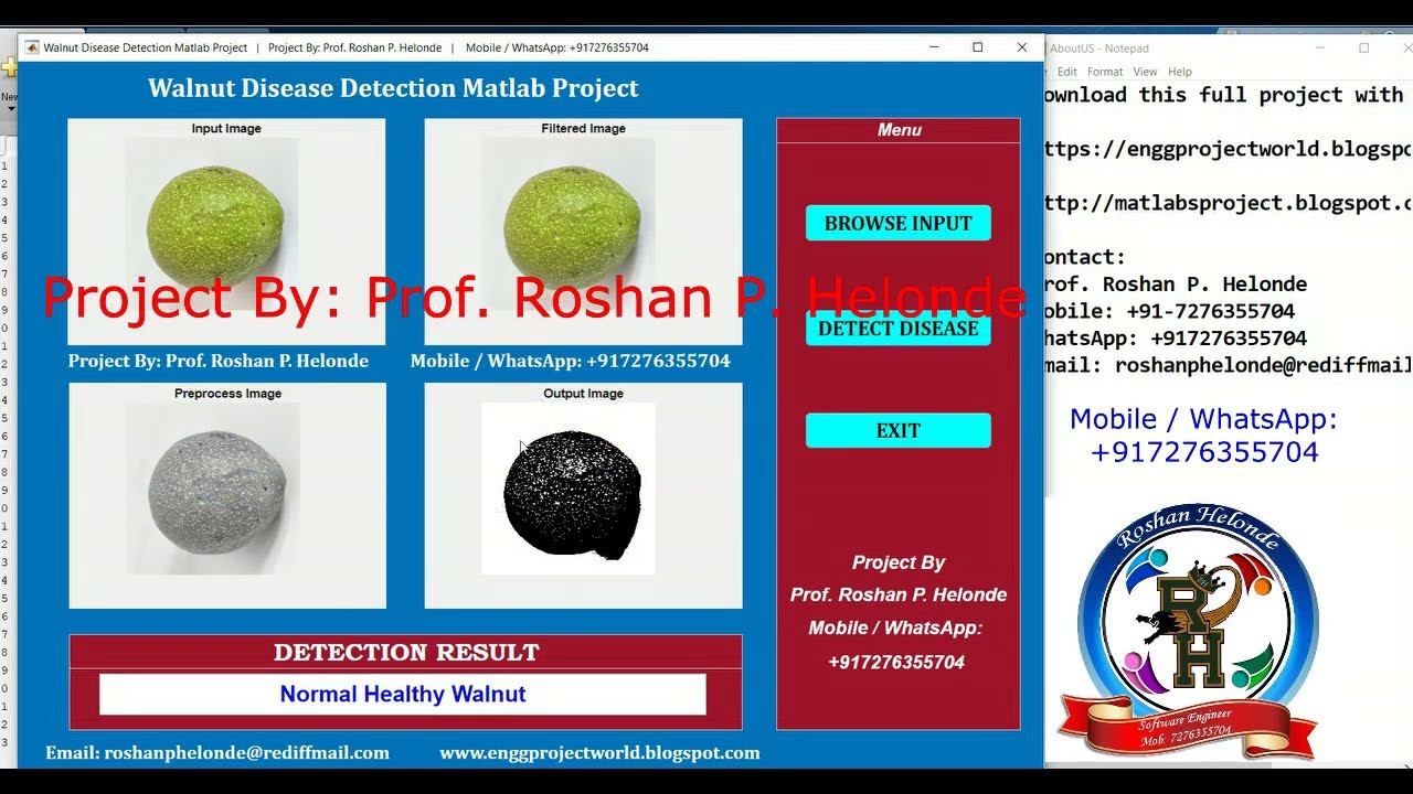 Walnut Disease Detection Using Image Processing | With Source Code | Walnut Disease Classification